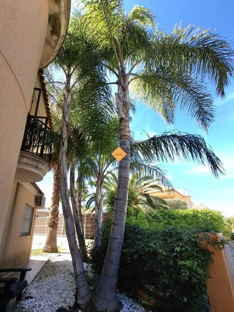Vista exterior de Casa o chalet en venta en Paterna con Aire acondicionado, Calefacción y Jardín privado