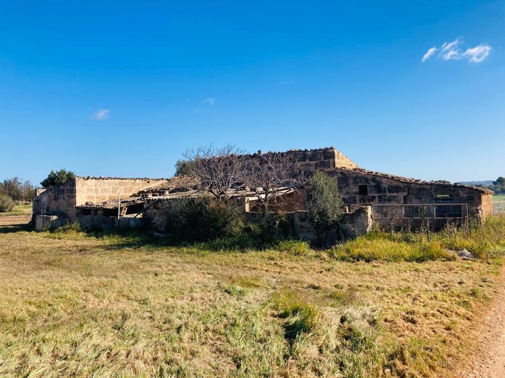 Vista exterior de Finca rústica en venda en Llubí amb Jardí privat