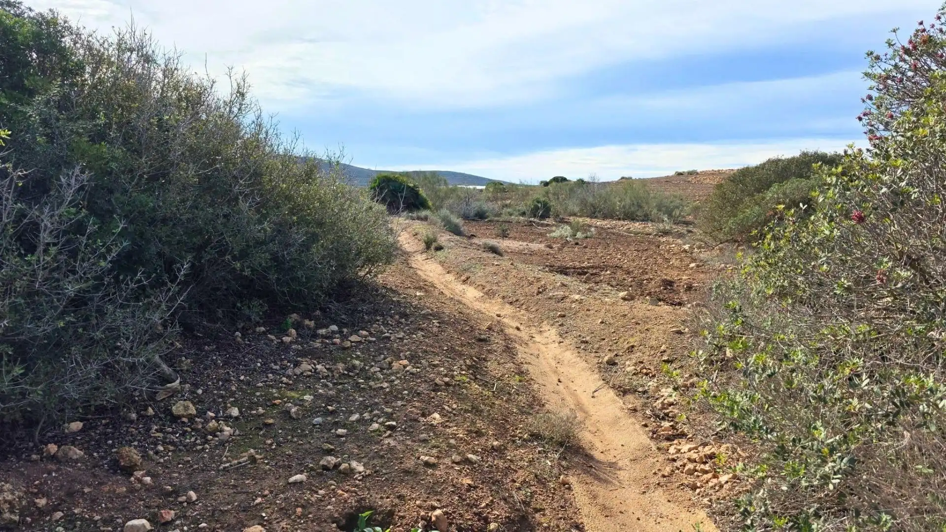 Finca rústica en venda a Calle HORNILLO (AL), Las Negras
