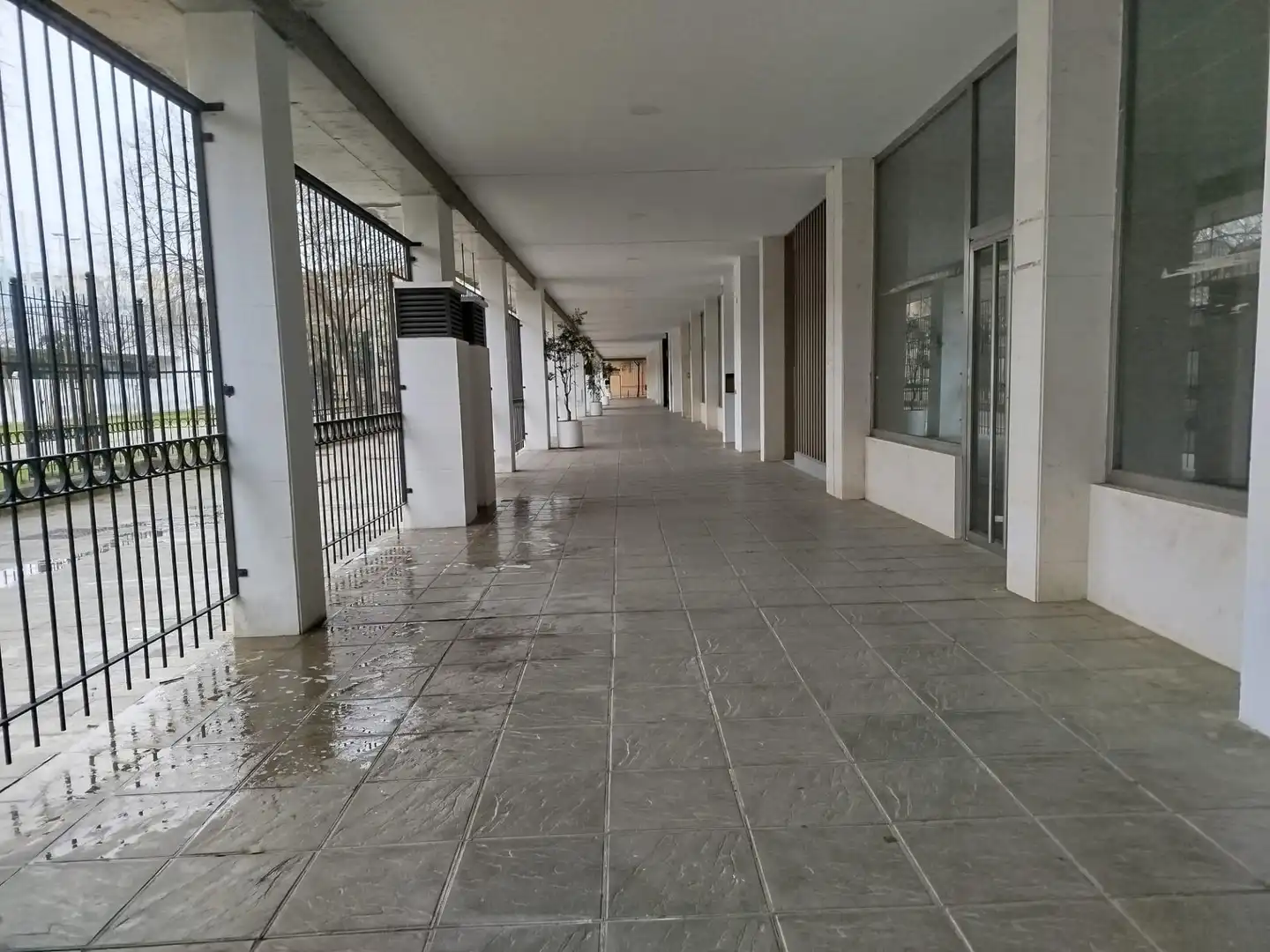 Geschaftsraum zum Verkauf in Sevilla