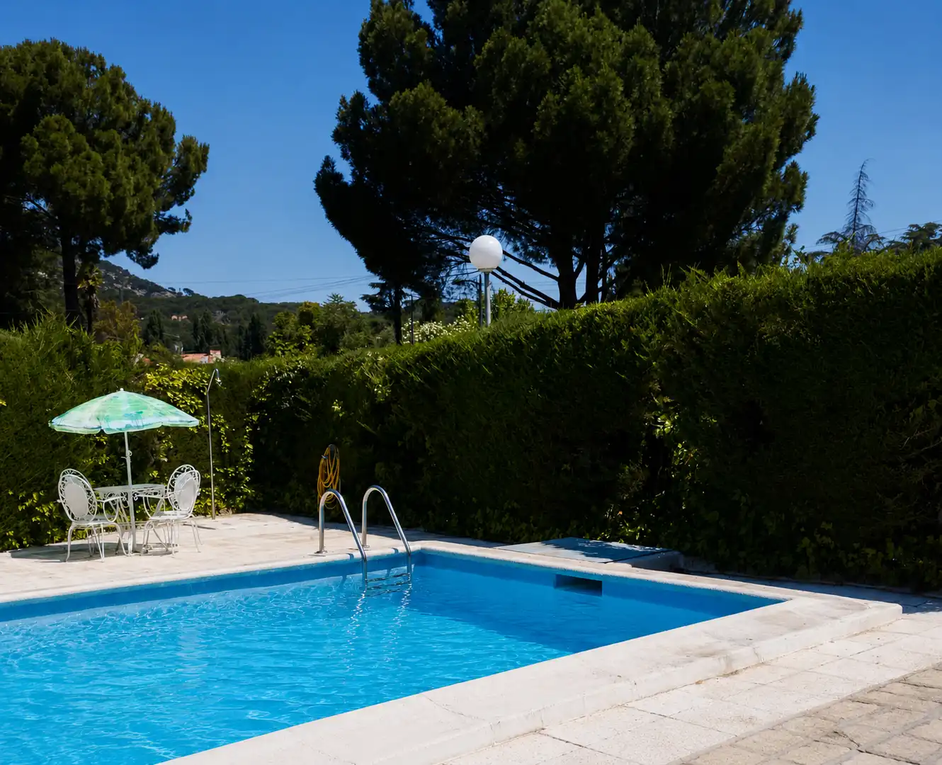 Piscina de Casa o chalet en venta en Pelayos de la Presa con Jardín privado, Piscina y Amueblado