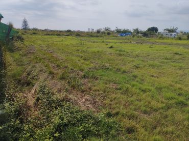 Terreno rústico en venta en El Ràfol d'Almúnia