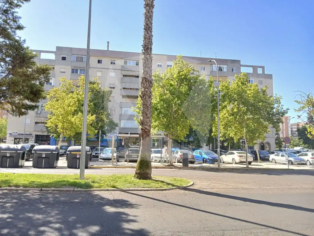 Pis de lloguer a Avenida Jose María Alcaraz y Alenda, Valdepasillas - La Paz - Huerta Rosales