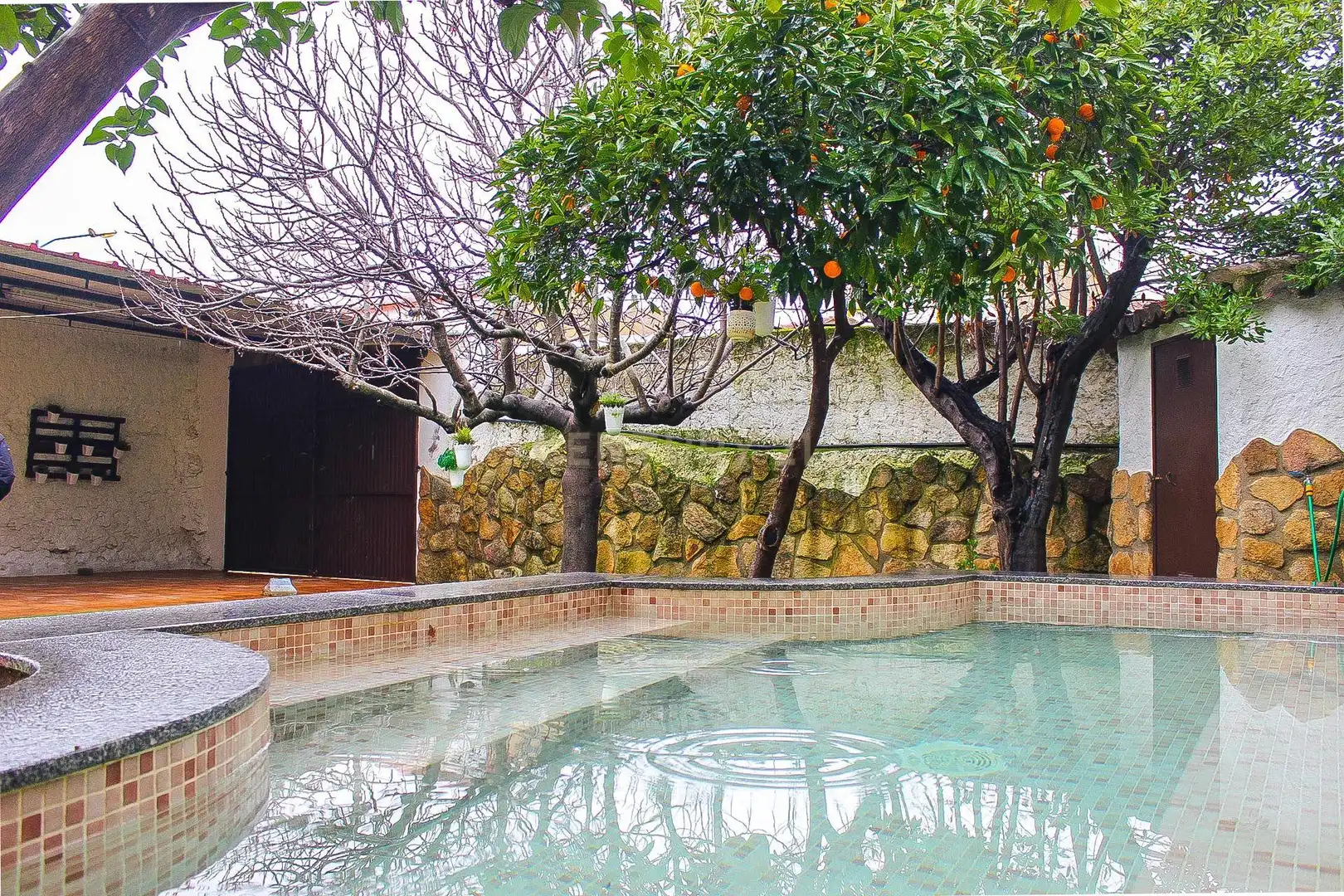 Piscina de Casa o xalet en venda en Casas de Don Pedro amb Traster i Piscina