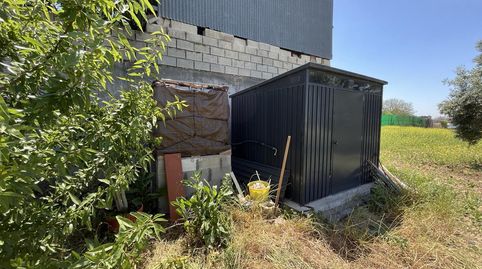 Foto 4 de Terreny en venda a Rompeserones, Las Palmeras - Dehesilla, Sanlúcar de Barrameda