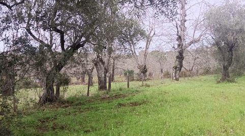 Finca Rúst. en venta en Aracena., imatge 3