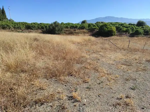 Finca rústica en venda en Benamocarra amb Jardí privat