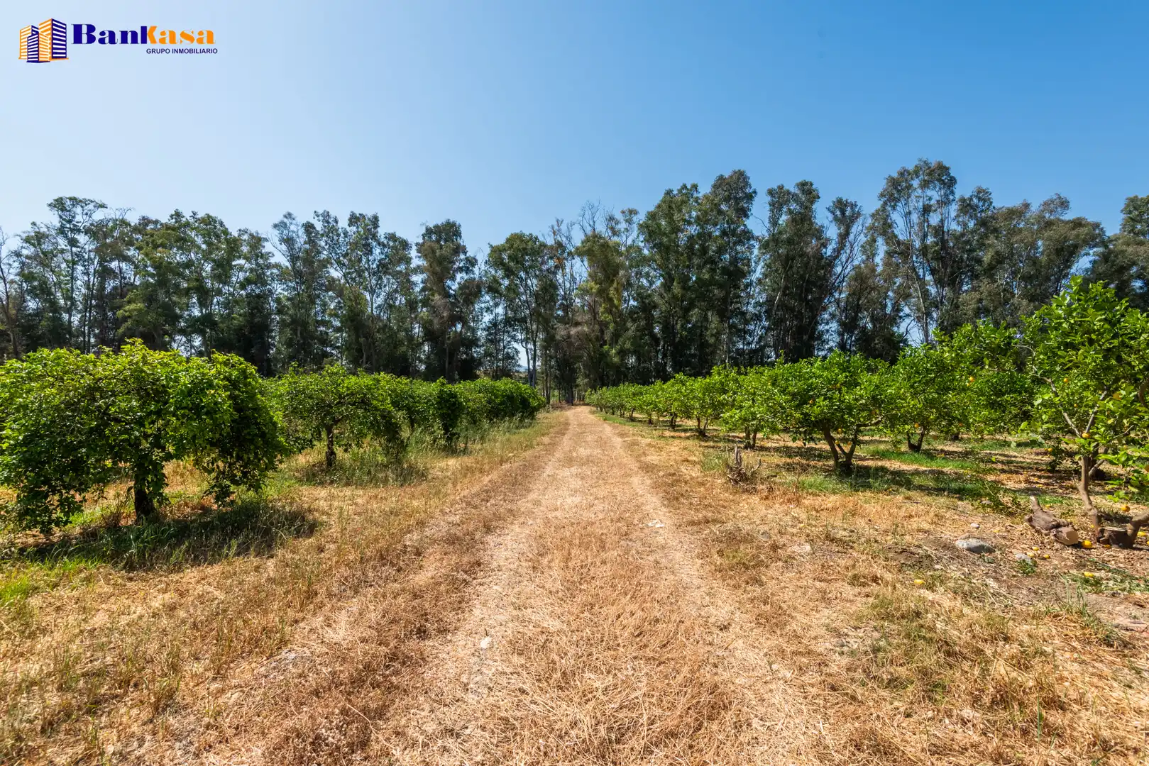 Terreno en venta en Pizarra