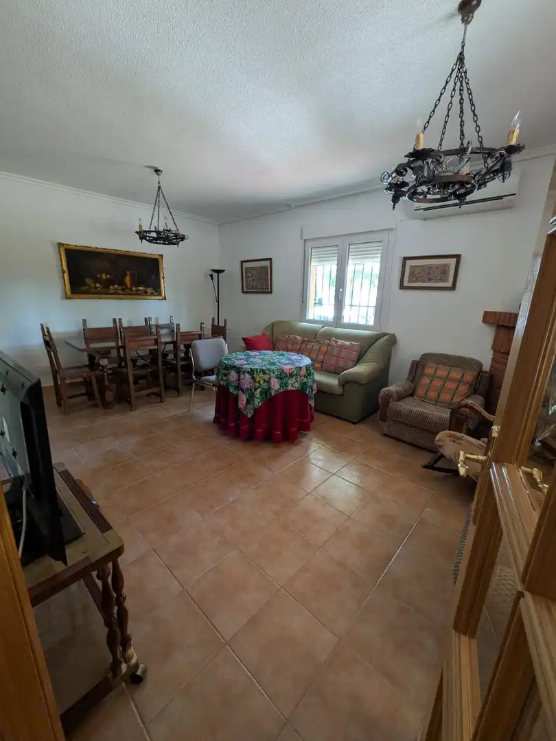 Sala de estar de Finca rústica en venta en Miguelturra con Aire acondicionado, Calefacción y Jardín privado