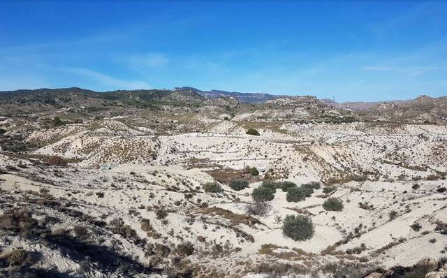 Terreno en Venta en PARAJE LA ALQUIBLA Nº SN en Ojós