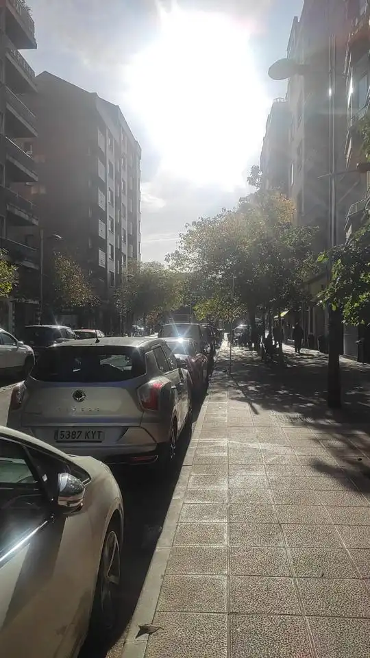 Business premises for sale in Paseo de las Damas 38, imagen 11