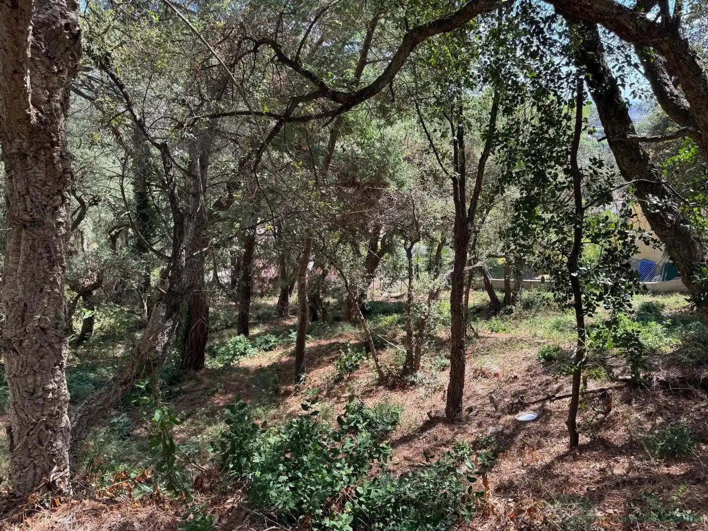 Residential land for sale in Bergueda, imagen 9