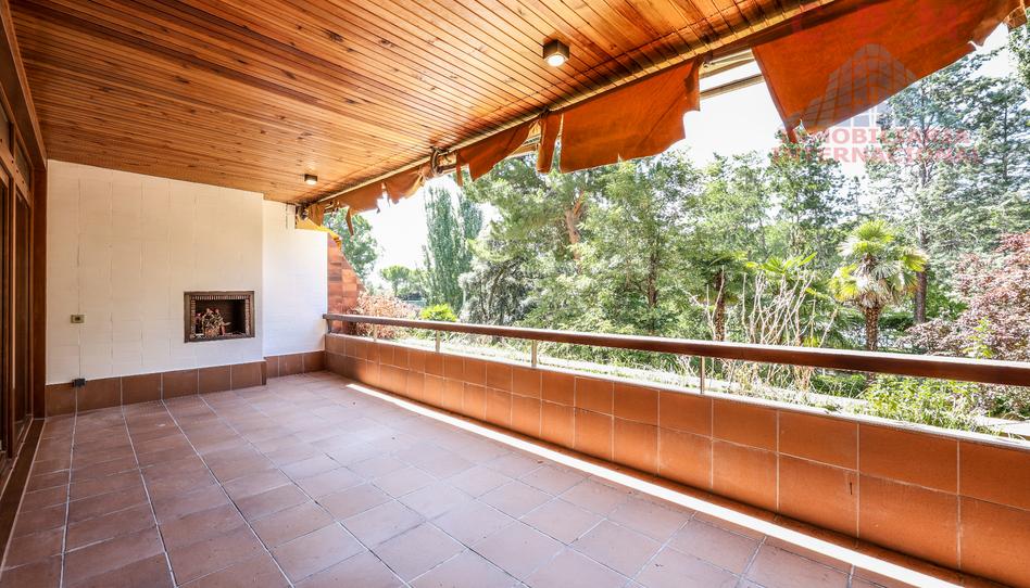 Foto 1 de Pis de lloguer a El Soto de la Moraleja, Madrid