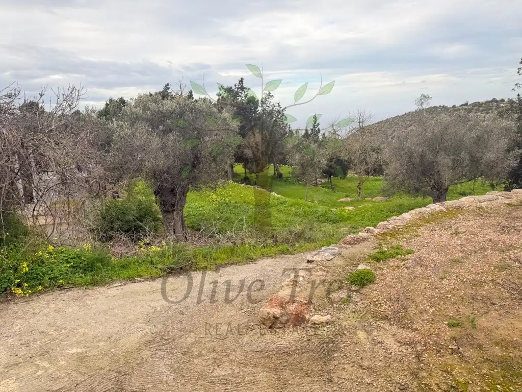 Houses for rent in Sant Joan de Labritja  with Swimming Pool