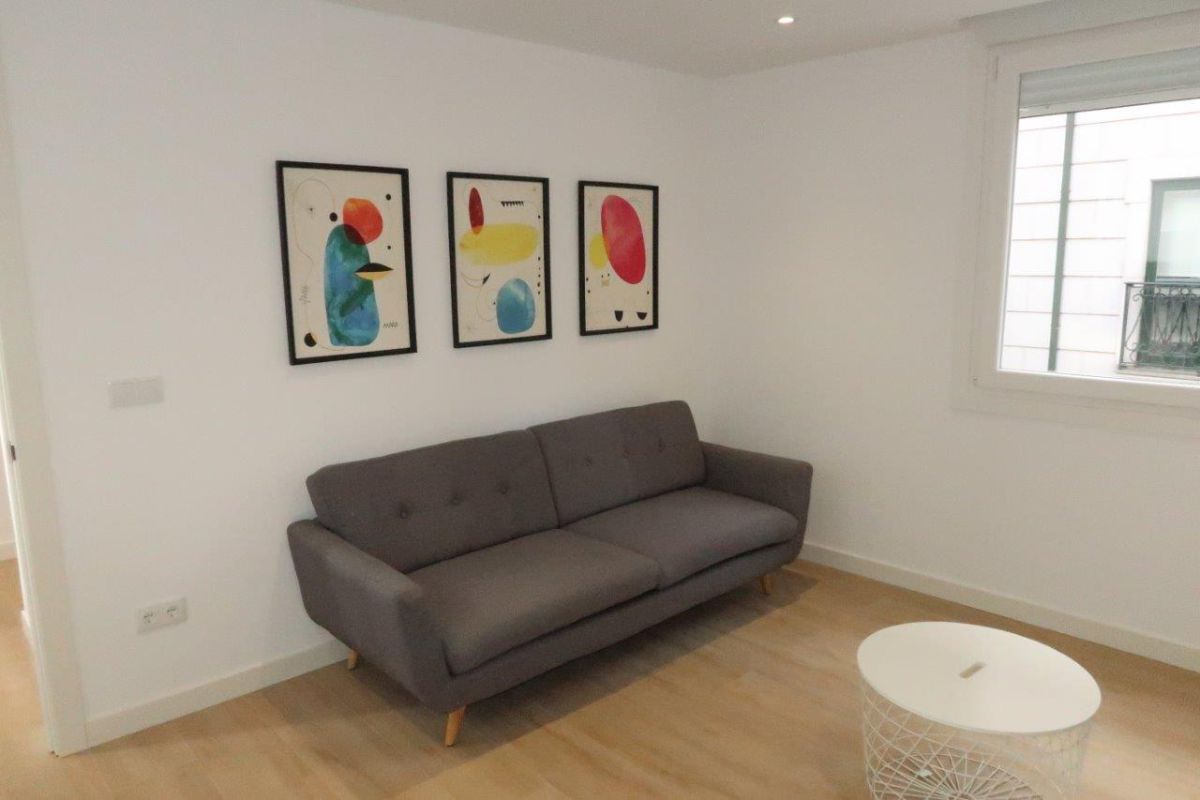 Sala d'estar de Dúplex de lloguer en A Coruña Capital  amb Traster i Moblat