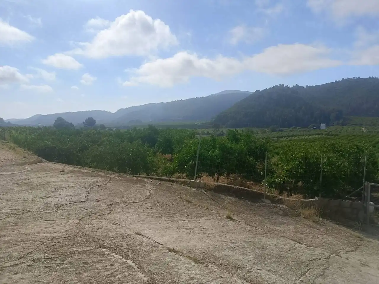 Land for sale in L'Atzúbia
