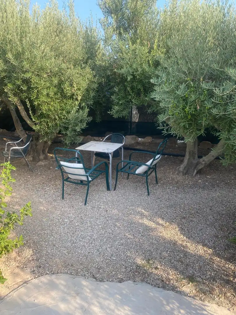 Garden of Country homes for sale in Guardamar del Segura