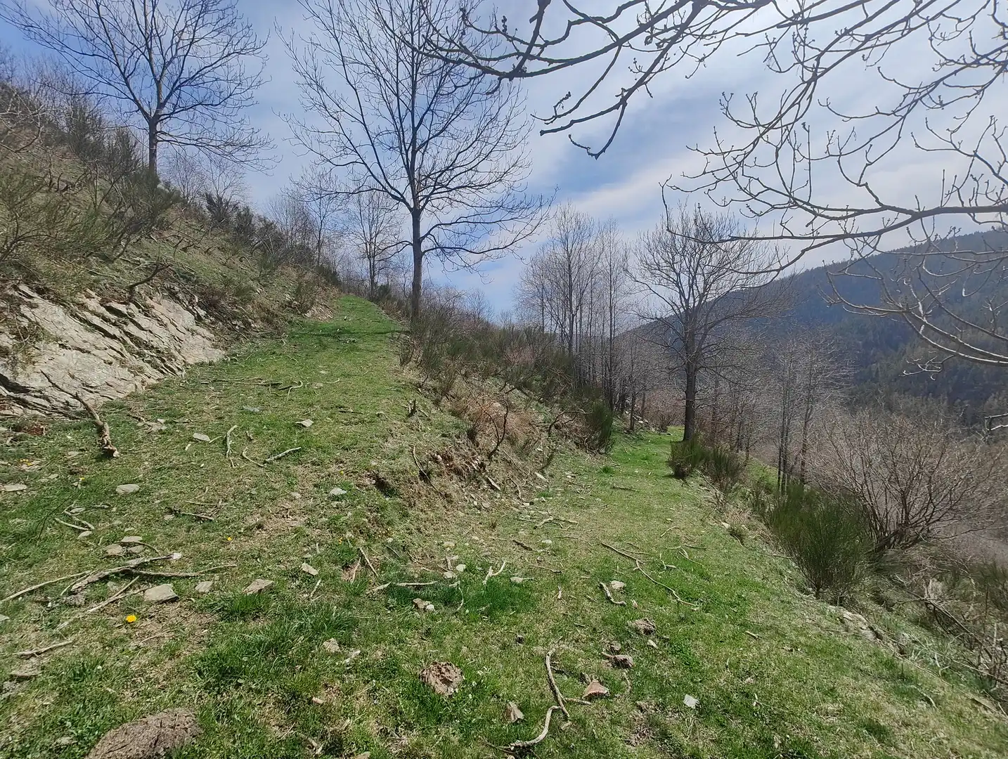 Finca rústica en venta en Molló con Jardín privado y Balcón