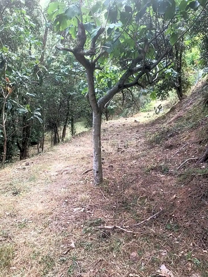 Finca rústica en venta en Arbúcies con Jardín privado, Terraza y Amueblado