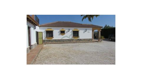 Casa de Campo, Piscina, Garaje, Trastero, Huerto, immagine 5