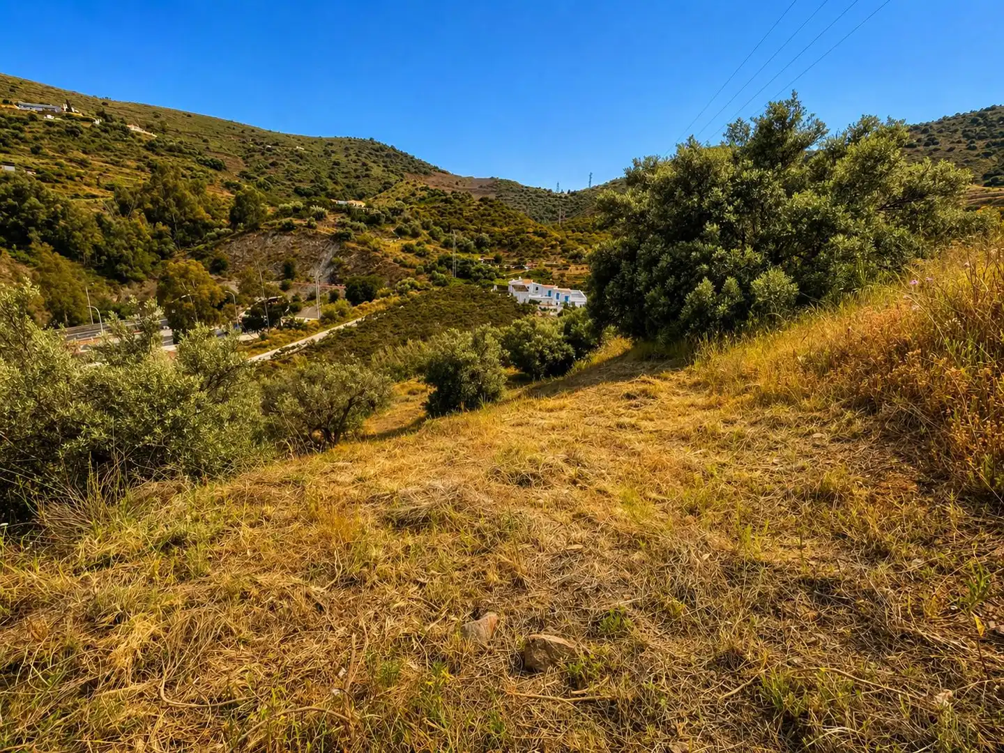 Terreni e lotti in vendita a Diseminado Pago Barranco del Puerto, imagen 5