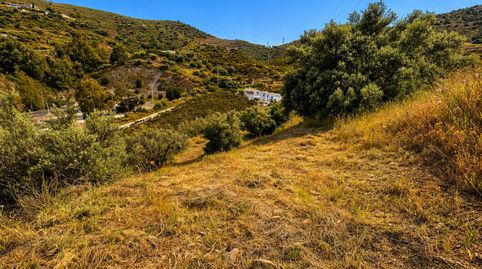 Foto 5 von Grundstücke zum Verkauf in Diseminado Pago Barranco del Puerto, Torrox Pueblo, Torrox