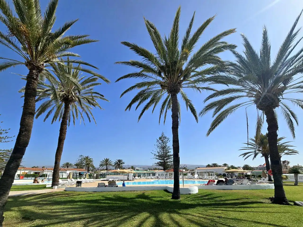 Piscina de Casa o chalet en venta en San Bartolomé de Tirajana con Aire acondicionado, Jardín privado y Terraza
