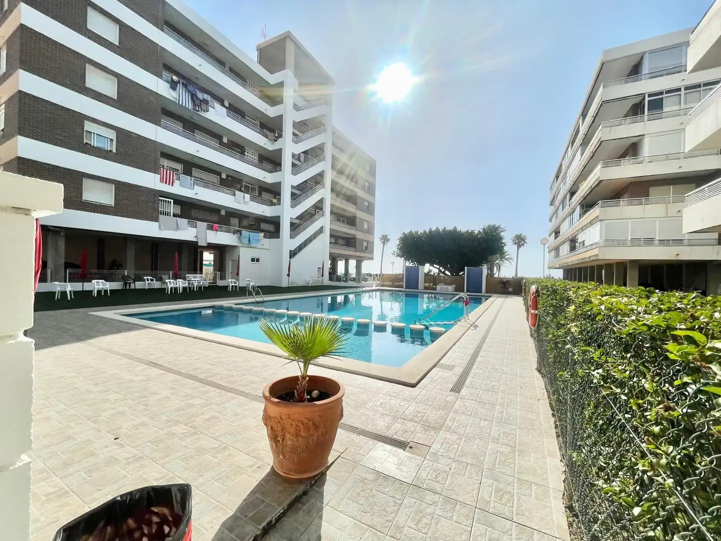 Swimming pool of Apartments for rent in Torrevieja  with Air Conditioner, Heating and Terrace