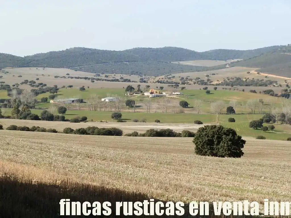 Terreny rústic en venda a Puebla de Don Rodrigo, imagen 20
