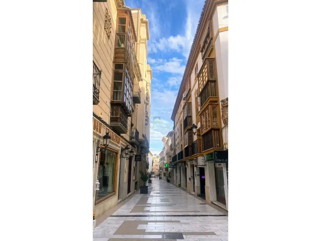 Apartamento con ascensor en venta en Calle Núñez de Arce 4, imagen 25