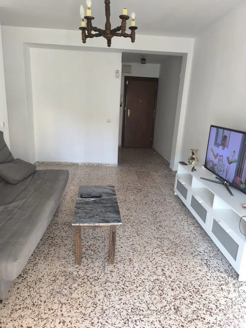 Living room of Flat for sale in Málaga  with Heating and Terrace
