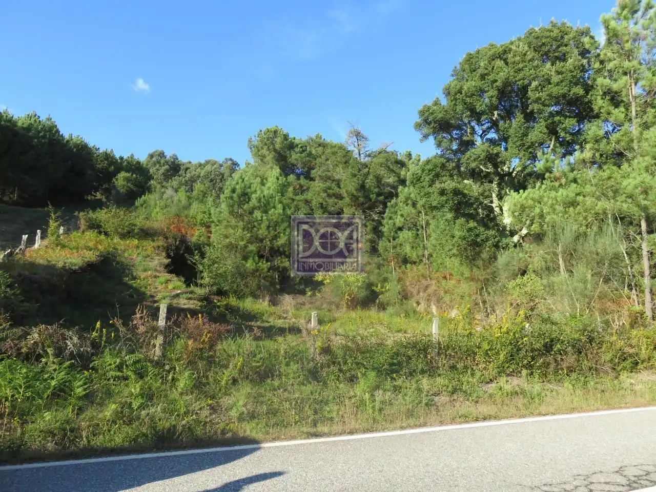 Lands and plots for sale in Mondariz, imagen 3