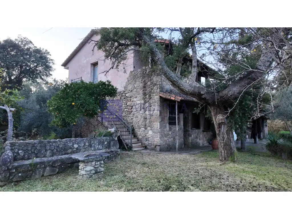 Chalet en venta en Diseminados Finca El Tollero, imagen 4