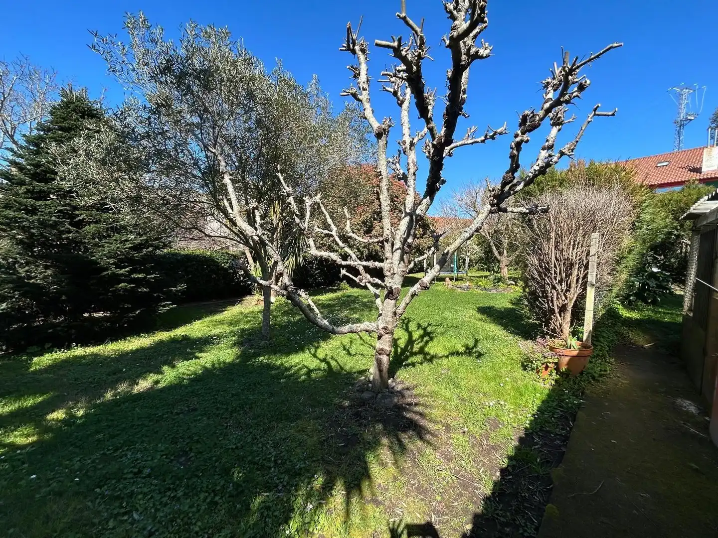 Jardí de Casa o xalet en venda en Boiro amb Calefacció, Terrassa i Traster