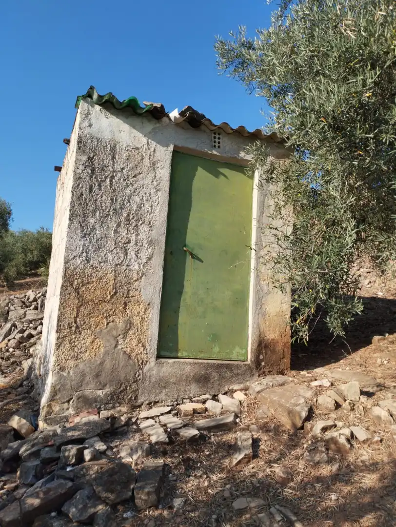 Terreno rustico in vendita a Calle Santa Teresa de Jornet, imagen 12