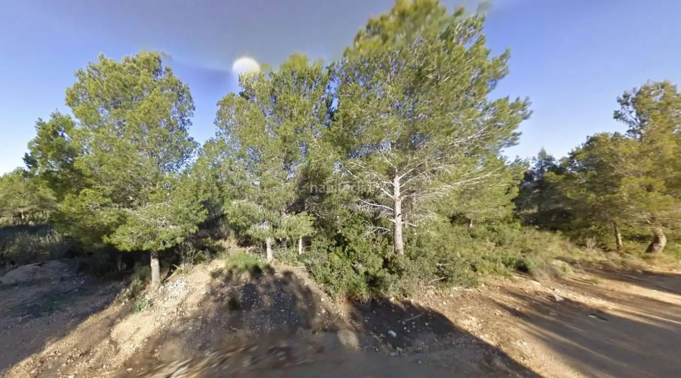 Wohnbaugrundstück zum Verkauf in Urbanització Sant Jorge Sant Bq.S 6C, imagen 4