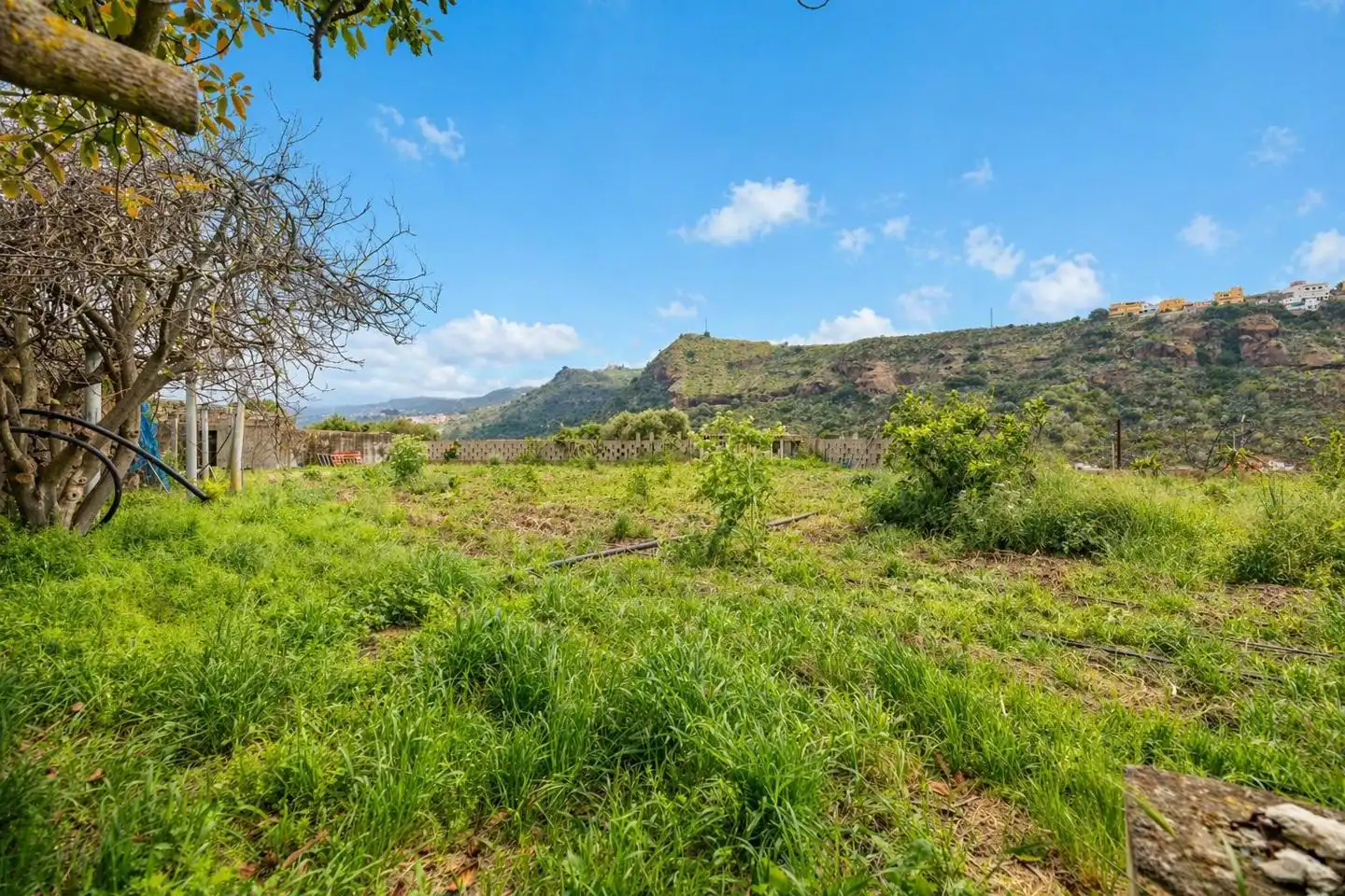 Maison avec jardin à vendre à A Los Olivos, imagen 27