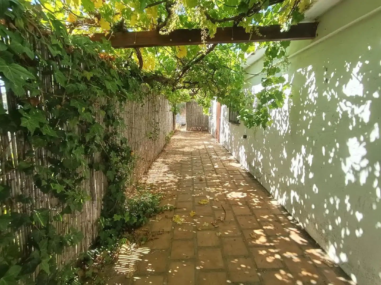Vista exterior de Casa o chalet en venta en Benamocarra con Jardín privado, Terraza y Trastero