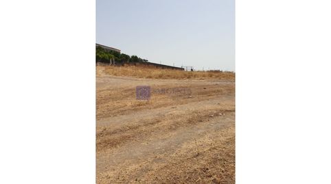 FINCA GANADERA DE UNAS 600 HECTÁREAS EN LA ZONA DE ALCUÉSCAR, imatge 2