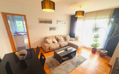 Living room of Duplex for sale in Piélagos