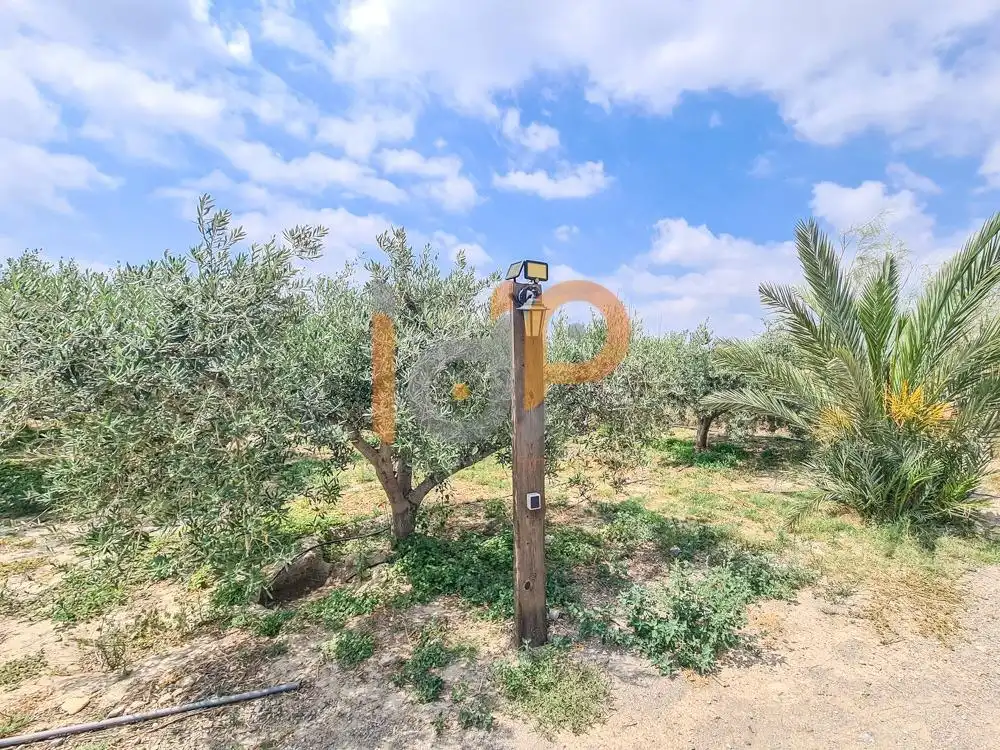 Terrenys i solars en venda a Huércal-Overa, imagen 19
