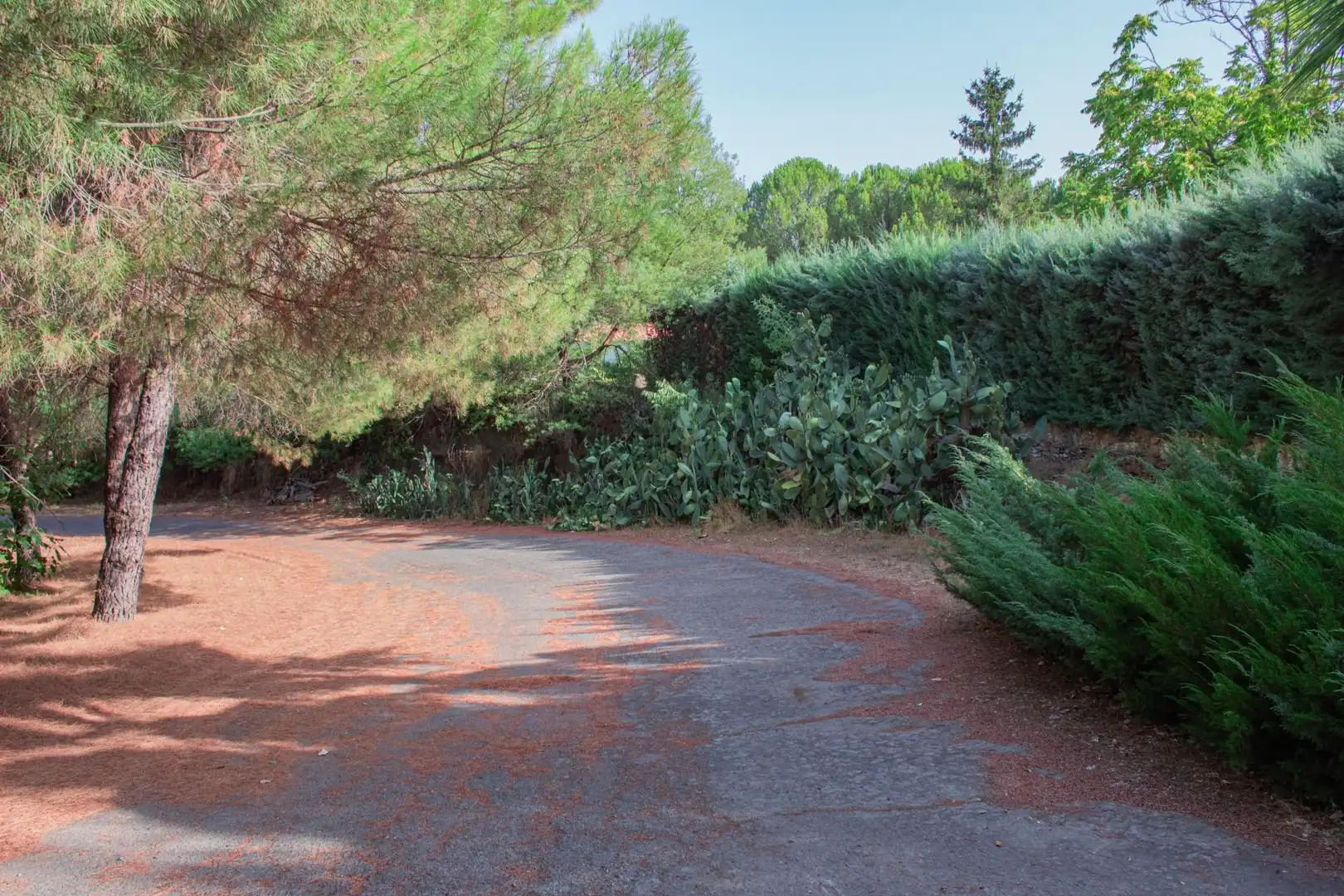 Finca rústica en venda en Plasencia amb Aire condicionat, Calefacció i Jardí privat