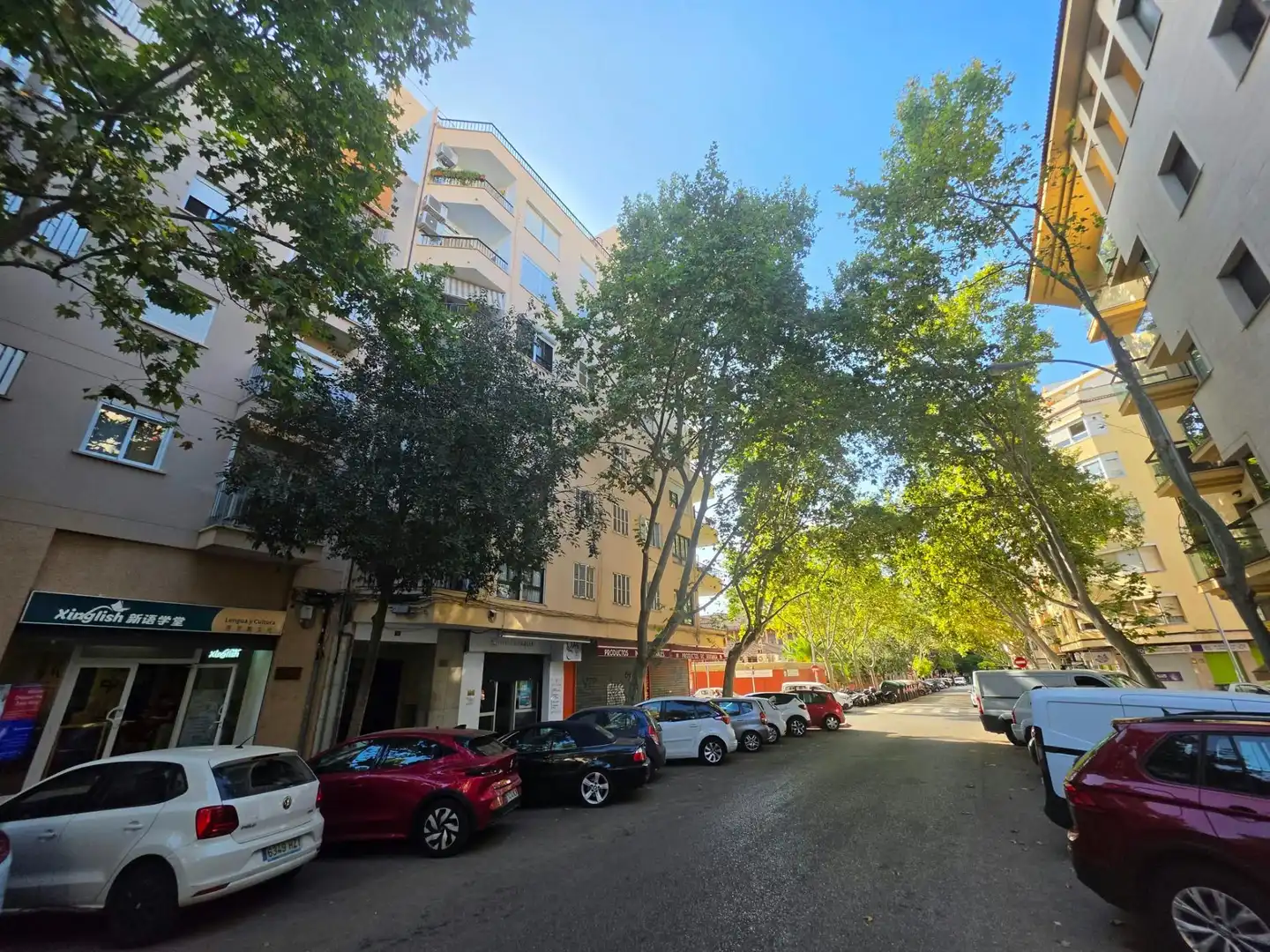 Pis amb terrassa en venda a Calle Camp Redó, imagen 2