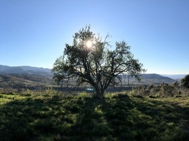 Grundstücke und Bauplätze zum Verkauf in Área Rural Sur