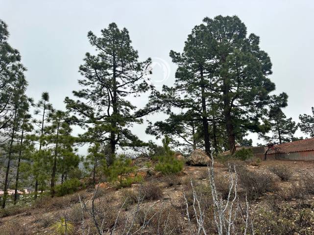 Casa-chalet en Venta en Vilaflor de Chasna