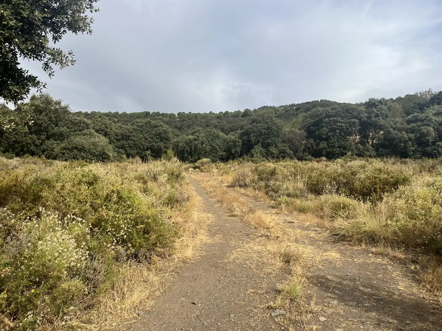 Terreno en venta en La Taha