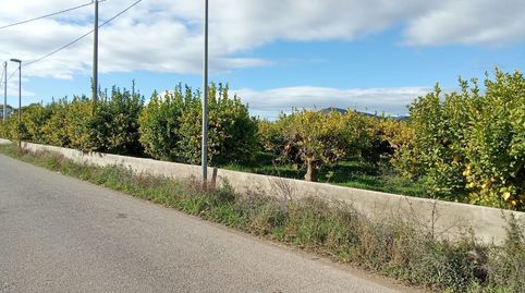 Finca Rústica  El AlamilloLibrilla Murcia, immagine 5