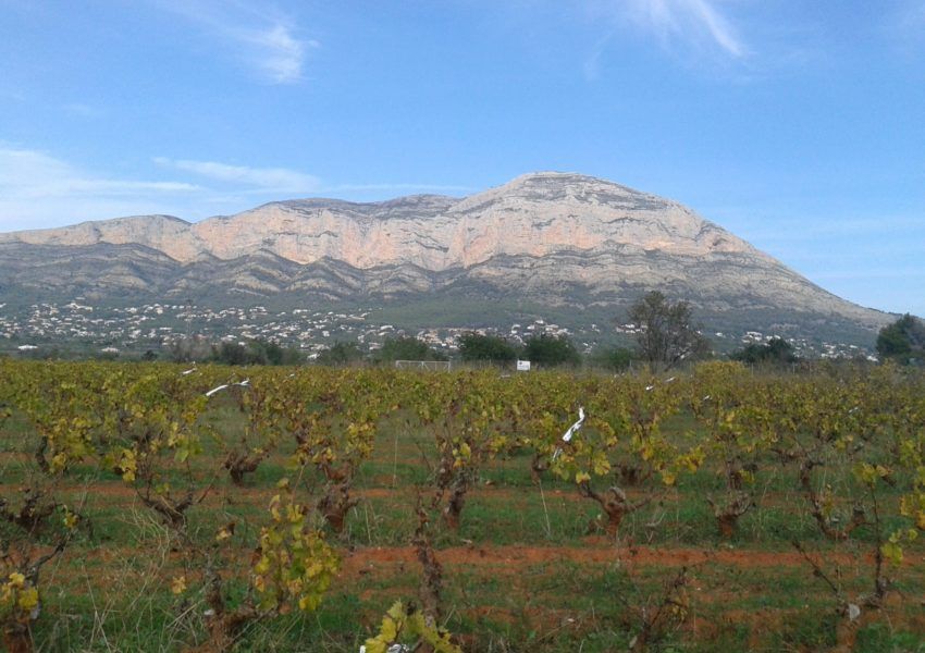 Vista exterior de Finca rústica en venta en Dénia