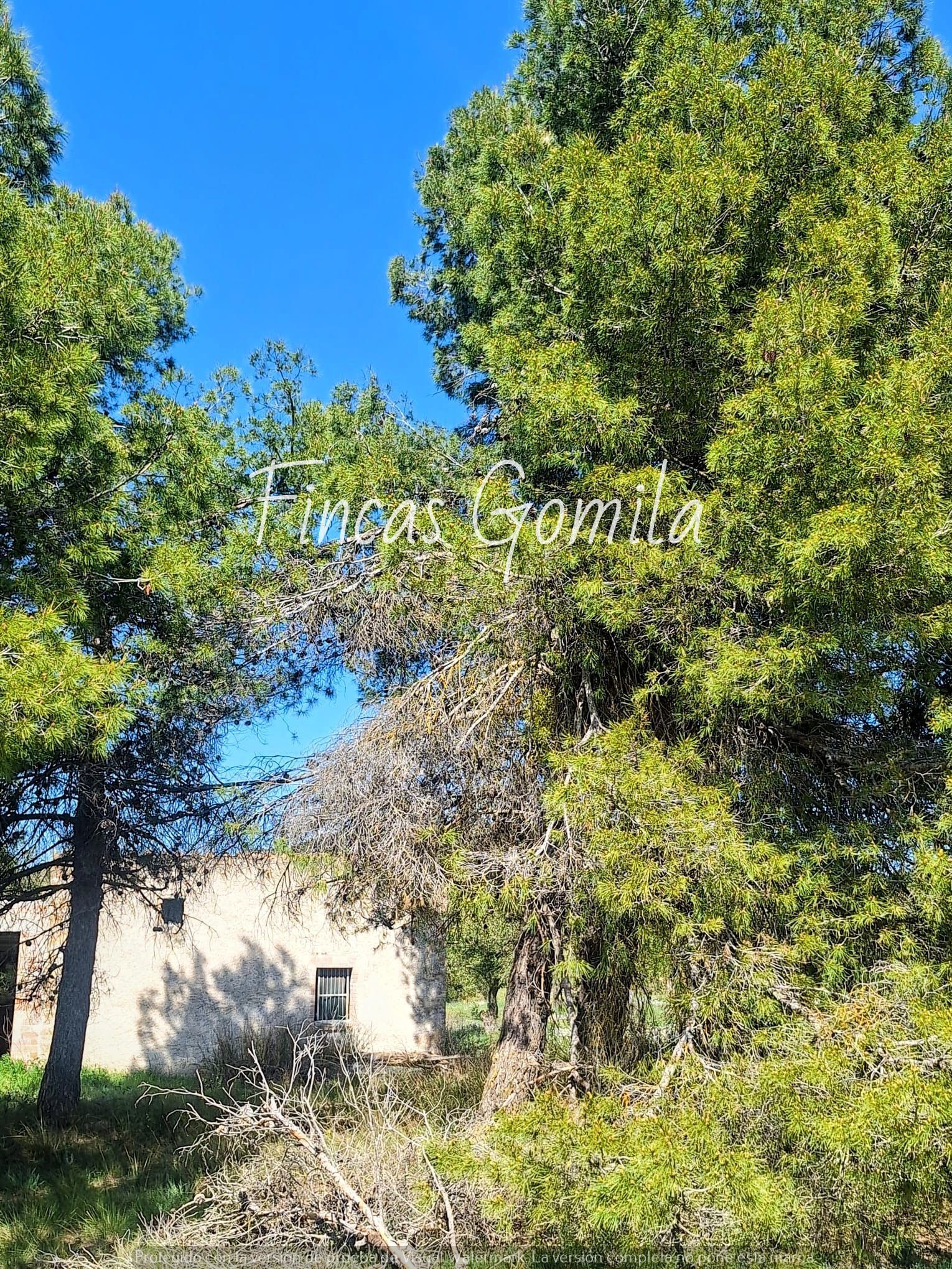 Land for sale in Cervià de Les Garrigues