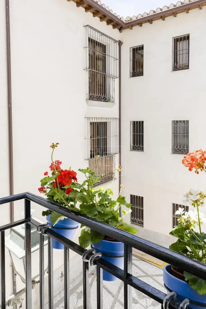 Reihenhaus mit Terrasse zum Verkauf in Calle SERRANO, imagen 16